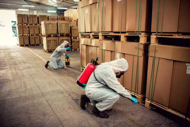Best Affordable Pest Control Services  in Shannon, MS