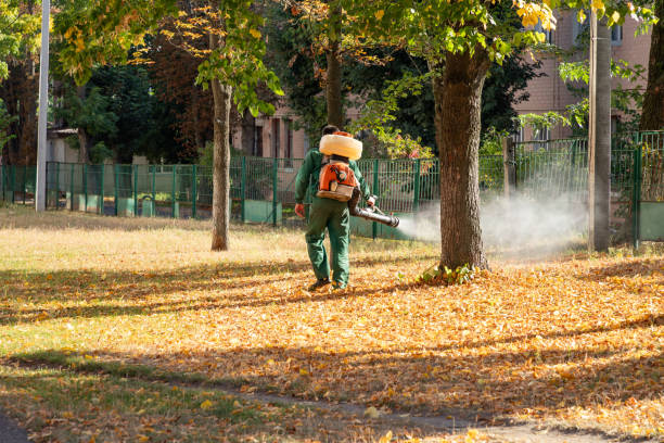 Best Mosquito Control Services  in Shannon, MS
