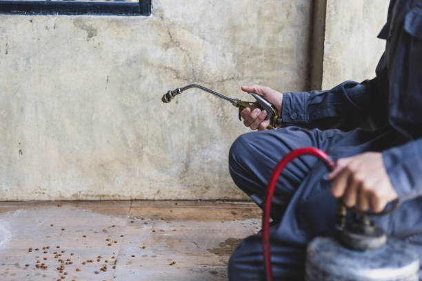 Best Pest Prevention Services  in Shannon, MS